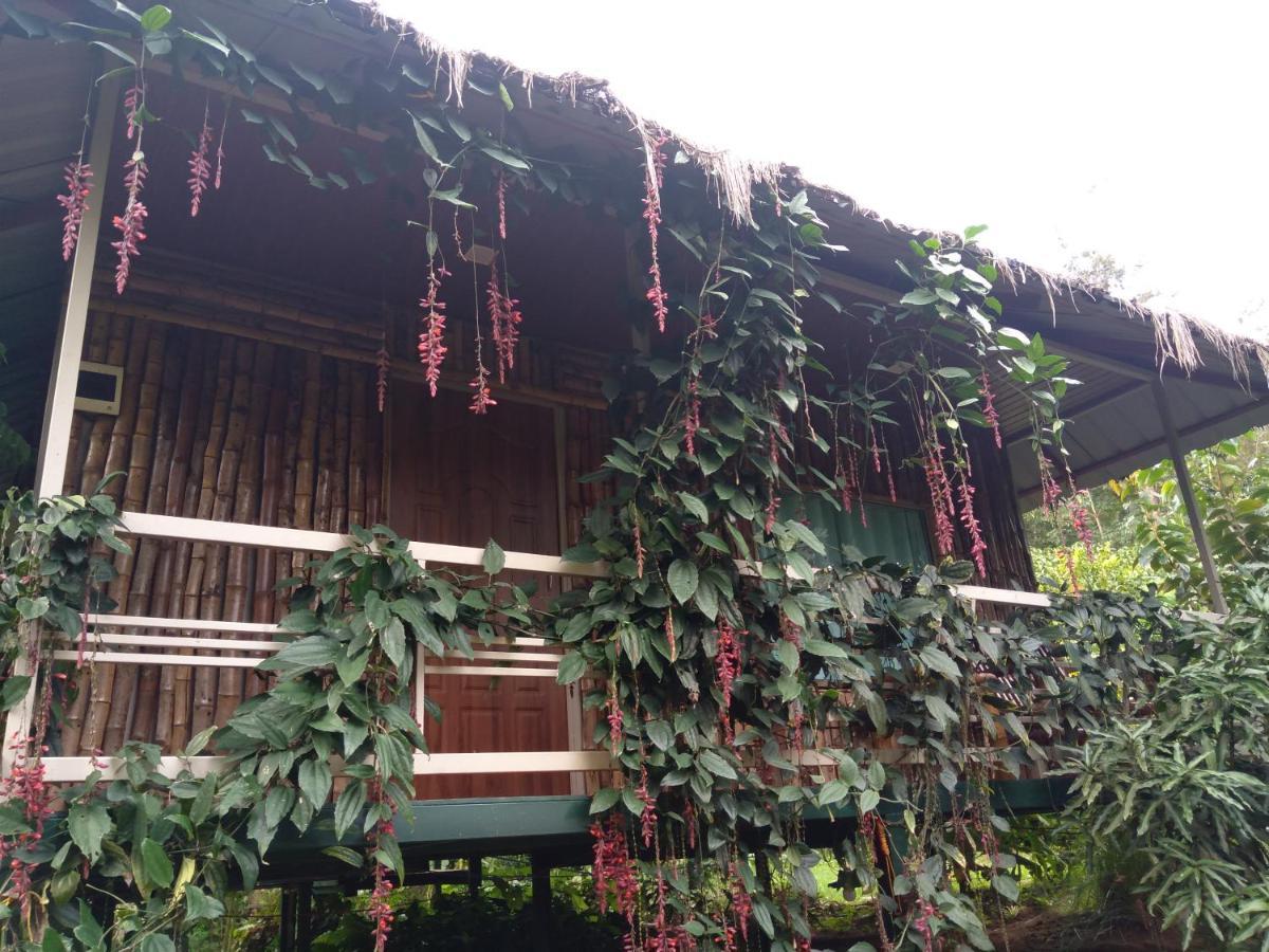 Koomankolly Resort Thirunelly Extérieur photo
